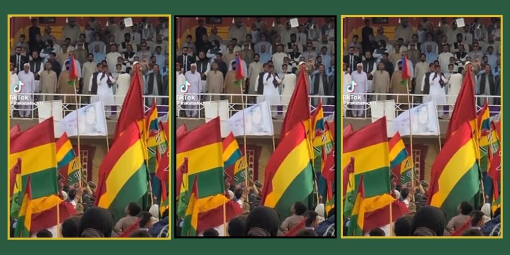 BNP-M rally draws strong criticism over waving BLA flag
