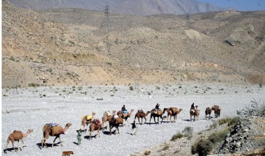 Large parts of Balochistan are facing a severe drought due to a significant lack of rainfall, creating a crisis for water, agriculture, and livestock.