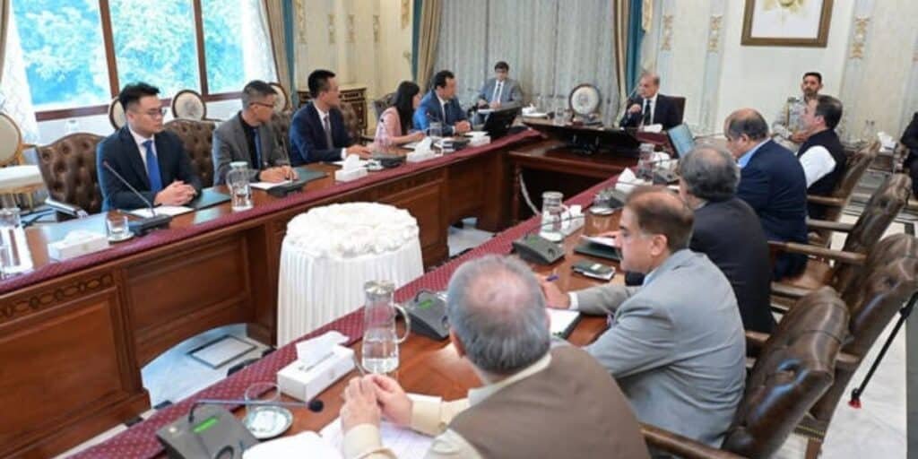 Chinese firm eyes on establishing maritime complex in Pakistan