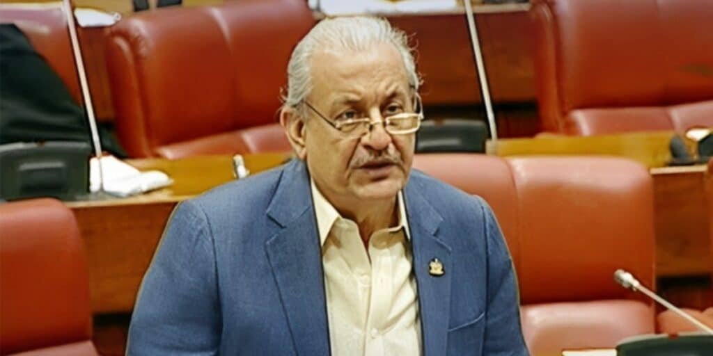Raza Rabbani questions U.S. mineral, Pasni port deal