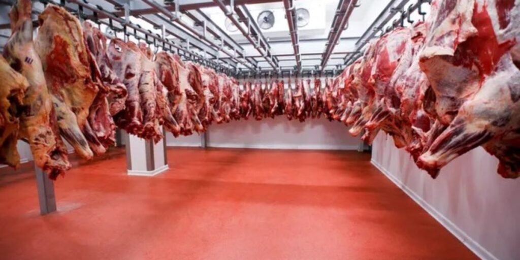 Modern Slaughterhouse Project Launched in Sibi