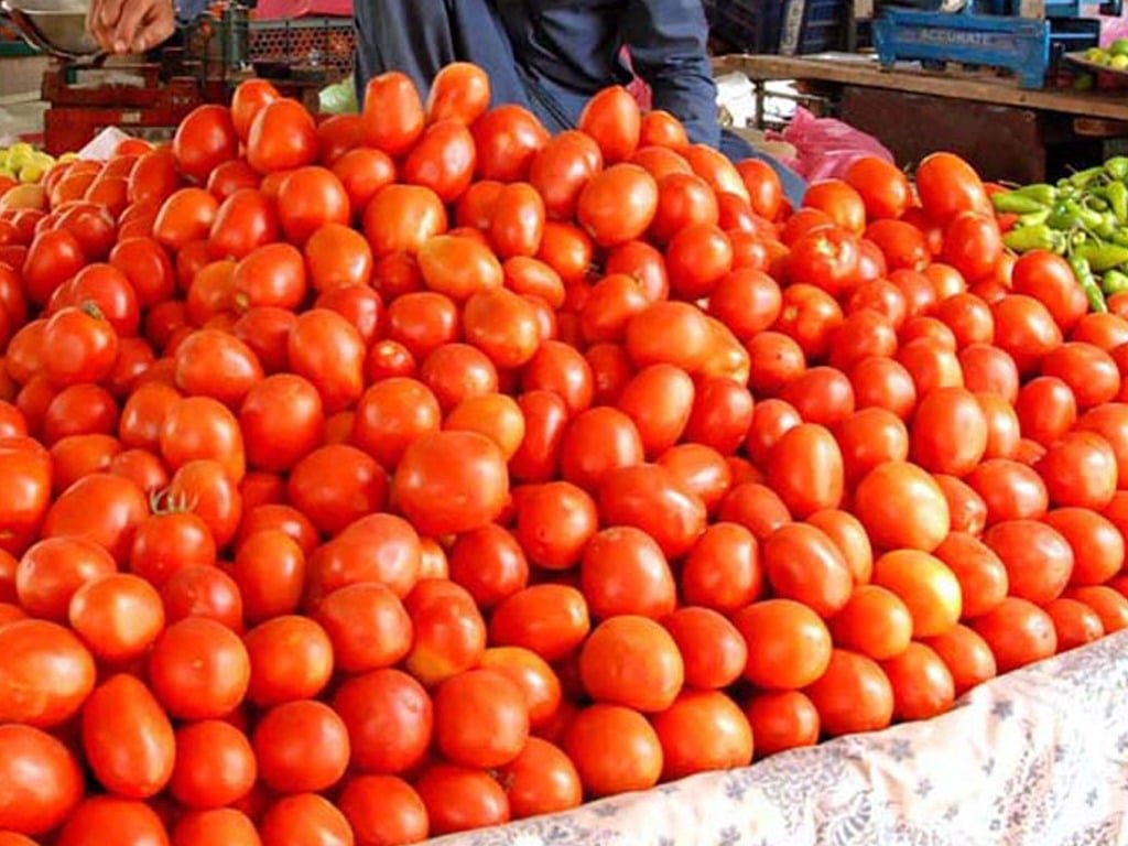 Tomato prices skyrocket in Quetta, hit households hard