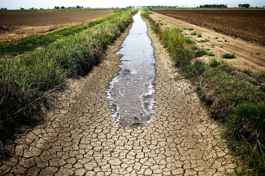 Water crisis in Balochistan shrinks cultivated area to 7pc: Report
