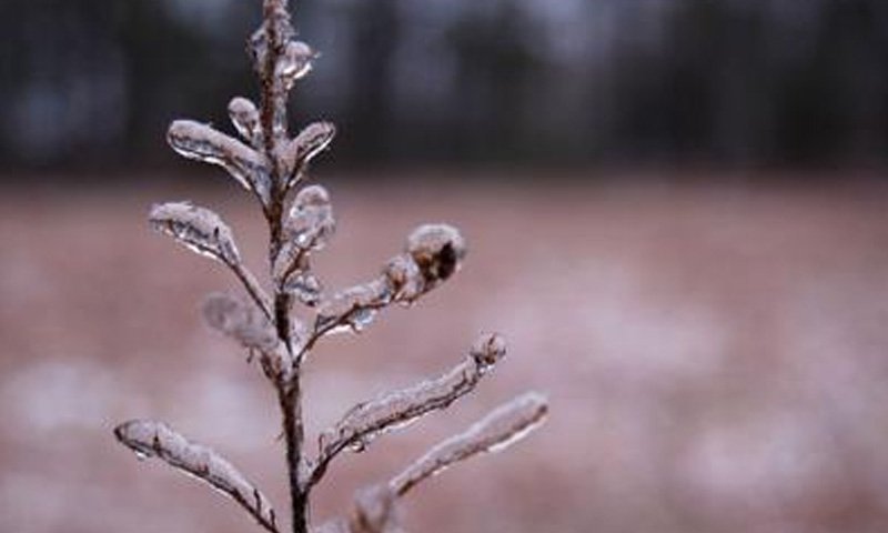 PMD Warns of Severe Cold, Dry Weather Across Pakistan
