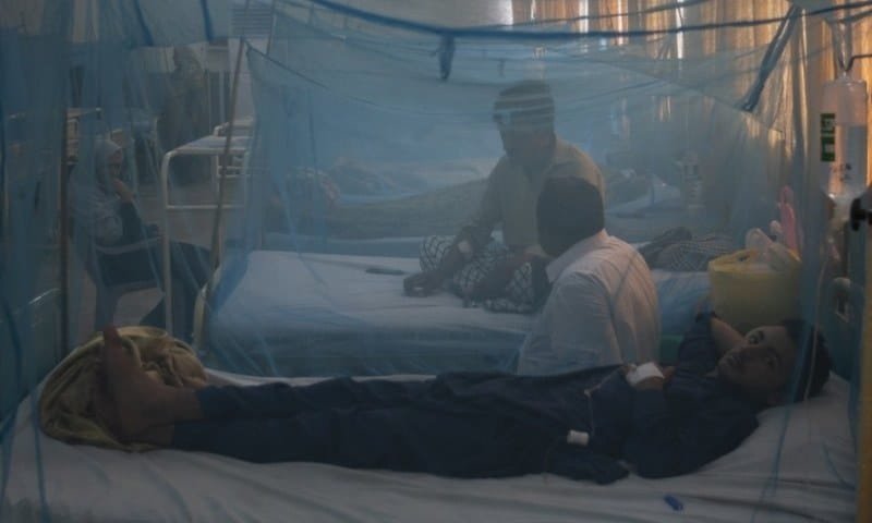 Dengue Cases Surge in KP, Kohat Emerges as Worst-Hit District