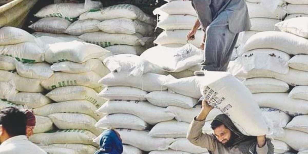 Flour Prices Surge Sharply as Wheat Costs Rise Amid Supply Disruptions