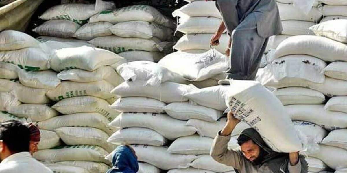 Government Reduces Ex-Mill Flour Price by Rs6 per Kilogram