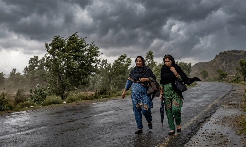 Pakistan Weather Forecast: PMD Forecast Brings New Update
